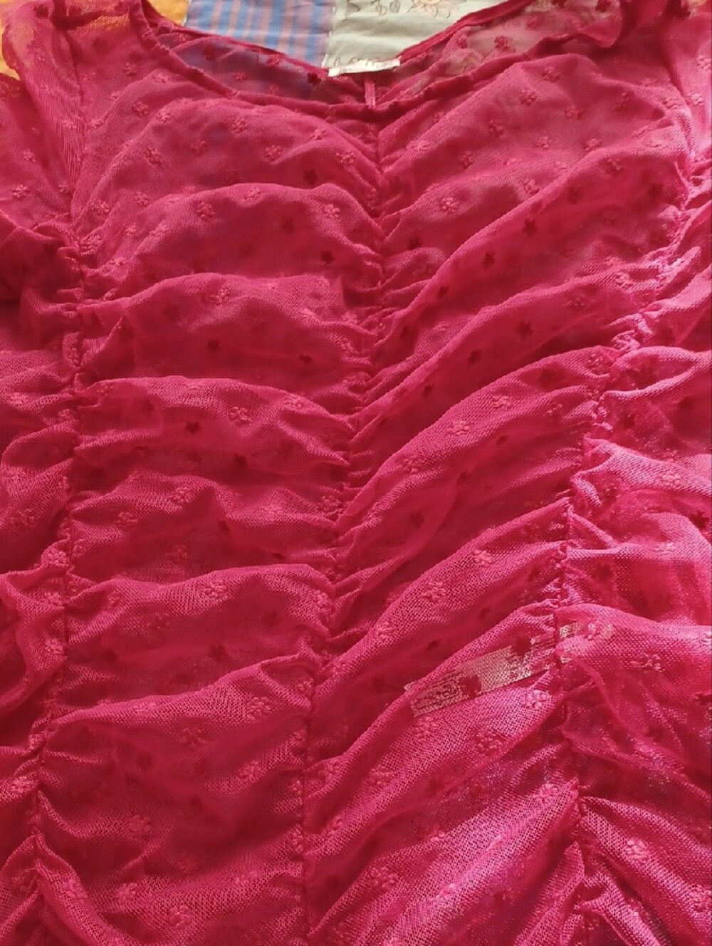 Free People Raspberry Sheer Ruffled Long-Sleeve Blouse - Picture 3 of 4